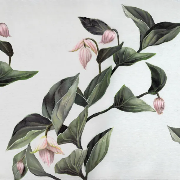 Carta da parati Medinilla di Inkiostro Bianco