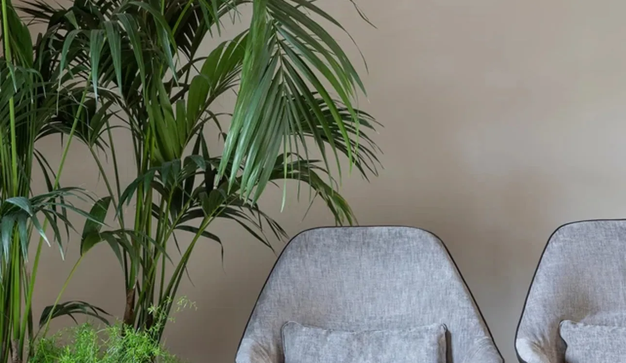 Poltroncina Gran Kobi di Alias