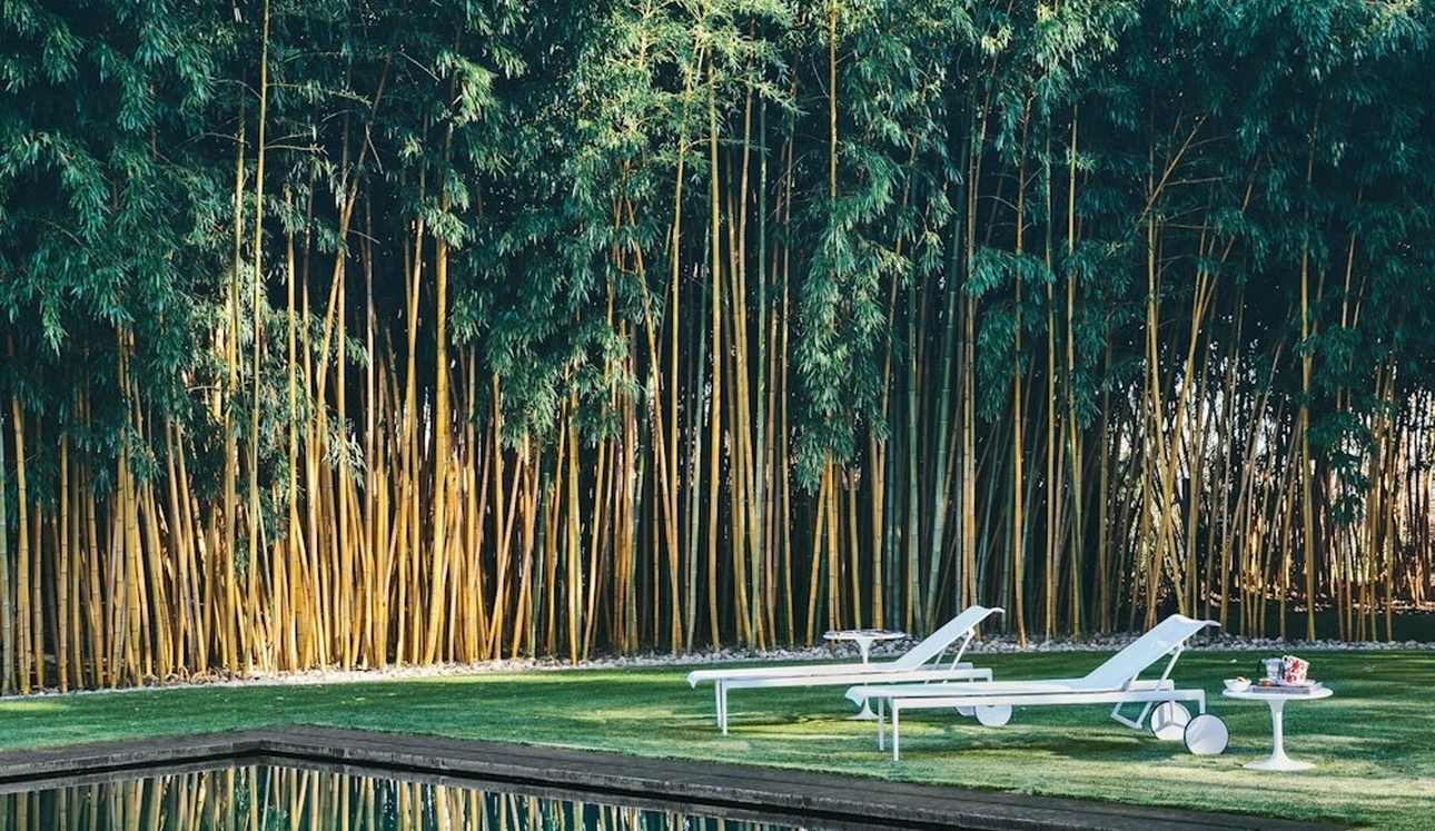Lettino da giardino 1966 Adjustable Chaise Lounge di Knoll