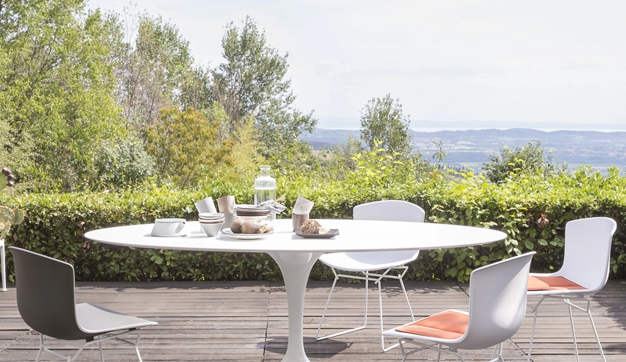 Sedia Bertoia Plastic Side di Knoll