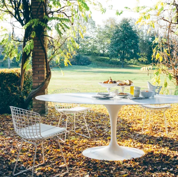 Sedia da giardino Bertoia Side Chair di Knoll